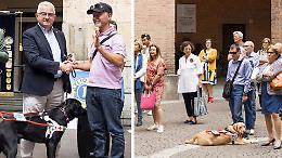 Lions: Aron il cane guida, un angelo a quattro zampe