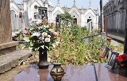 Erba alta al cimitero nonostante la disinfestazione,  proteste e rabbia