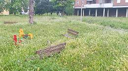 Parco di piazza di Rauso come una giungla, Sos dalle case popolari