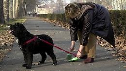 Deiezioni e mancato controllo dei cani, esplode la protesta via social