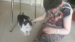 Gattino maltrattato trova una casa alla Fondazione Opera Pia Santissimo Redentore