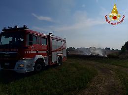 Brucia un campo di 1500 mq, incendio domato dai vigili del fuoco