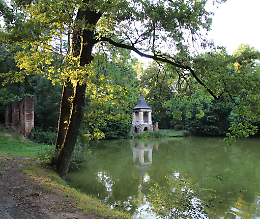 Visita notturna nel bosco di Villa Medici del Vascello