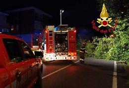 Grosso albero si abbatte su viale Europa, tragedia sfiorata davanti al bar Castello