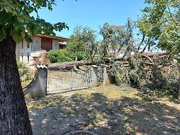 Grandinata su Viadana, il Comune stima i danni in cinque milioni di euro