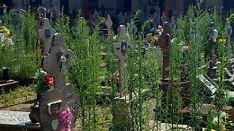 Al cimitero erbacce fra le tombe, parte lo sfalcio