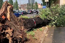 Maltempo a Milano, l'assessore: «Un uragano mai visto»