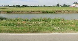Pensionato di 84 anni trovato morto in un canale in mezzo alla campagna