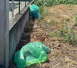 Castelvetro, discarica selvaggia. In 5 filmati e multati