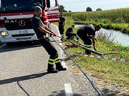 Cavo telefonico abbattuto dal maltempo: intervento dei vigili del fuoco