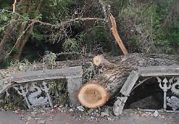 Ponte sul Morbasco lungo il Po, Comune in cerca di fondi
