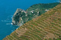 Cinque Terre, crolla in mare parte della falesia sotto Corniglia
