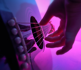 Viaggio musicale nel mondo del Pop con la band Little Green Mushrooms