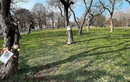 «Stop al polo dell’infanzia, il parco va salvato»