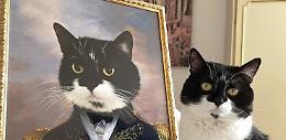 Gatti e cani in salotto, la moda dei ritratti fotografici