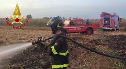 A fuoco un campo di stoppie, domato dai vigili del fuoco