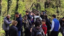 Alberi caduti lungo il sentiero, Bosco Didattico chiuso