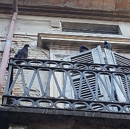 Degrado nella via dei film: il palazzo è una ‘piccionaia’