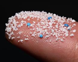 Micro plastiche: «Suoli agricoli sotto attacco» 