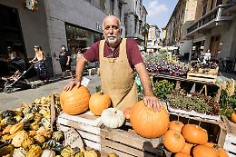 Le Invasioni Botaniche