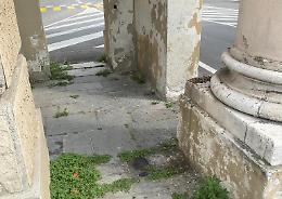 Una cura per le porte ferite: «La riqualificazione si farà»