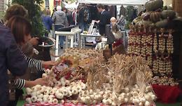 Monticelli d'Ongina. Aglio, la fiera celebra il ‘re’ del borgo