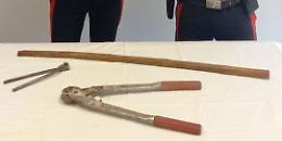 Bastone, cesoia e tronchese nel bagagliaio dell'auto, due denunciati