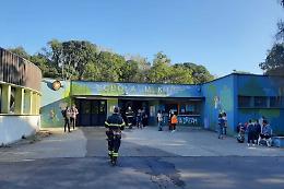Milano, aule allagate al Qt8: genitori protestano davanti alla scuola