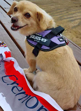 'In vacanza con il mio pet',  guarda le foto
