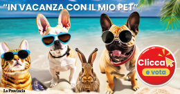 'In vacanza con il mio pet', vota la tua foto preferita