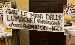 'Corsa delle lumache', scattata la protesta degli animalisti