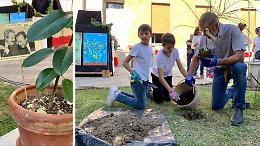 A scuola due piante nel segno di Falcone