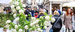 Fiori e sapori, fine settimana tra piante e aromi in centro