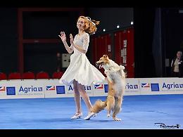 Dog Dance, per la prima volta in Italia i Campionati Europei