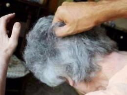 Vìola il divieto di avvicinamento ai genitori: arrestato
