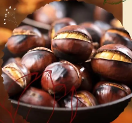 Festival d'Autunno - IIª edizione