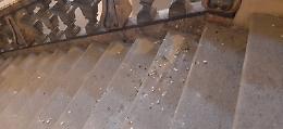  Sullo scalone del museo un tappeto di guano