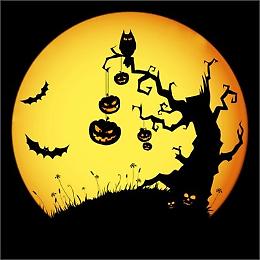  Notte di Halloween nella biblioteca stregata