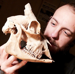 Wunderkammer: la ostra naturalistica di Stefano Bragalini