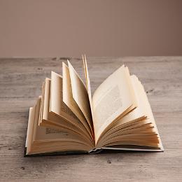 Presentazione del libro "Il trentunesimo giorno"