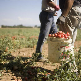 Migrare: il diritto e la fatica, proiezione del film ''One day one day''