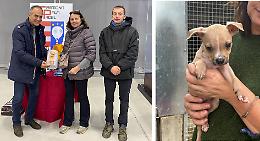 Sport e beneficenza per i cagnolini