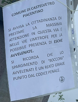 Polpette con puntine, scatta l'allarme a Castelvetro piacentino