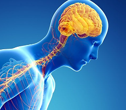 Riflessione in occasione della giornata di sensibilizzazione sul Parkinson