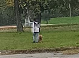 Bimbo al parchetto trascinato dal suo cane, i residenti chiamano i carabinieri