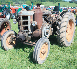 Festa del ringraziamento: esposizioni agricole, gastronomia e divertimento