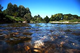 Passeggiata guidata lungo il fiume Serio