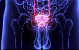Tumore prostata, visite gratuite ai cittadini di età compresa tra 50 e 75 anni
