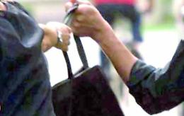 Tenta la rapina a una 77enne, ma lei resiste e la manda in fuga