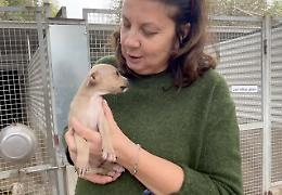 Ginny è rinata: ora ha trovato anche una casa